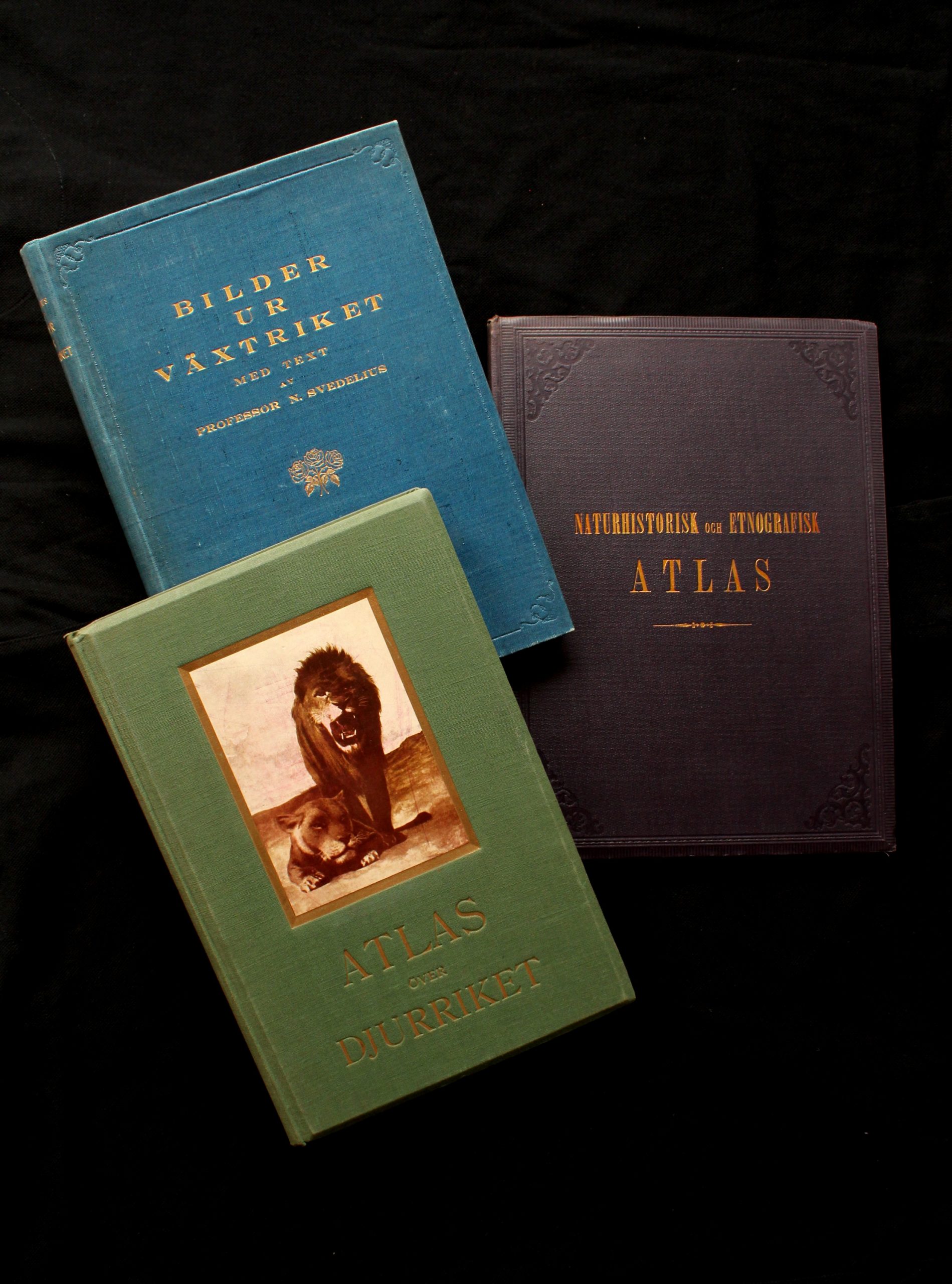3. Atlas över djurriket (1913), Bilder ur växtriket (1919), Naturhistorisk och etnografisk atlas (1881)